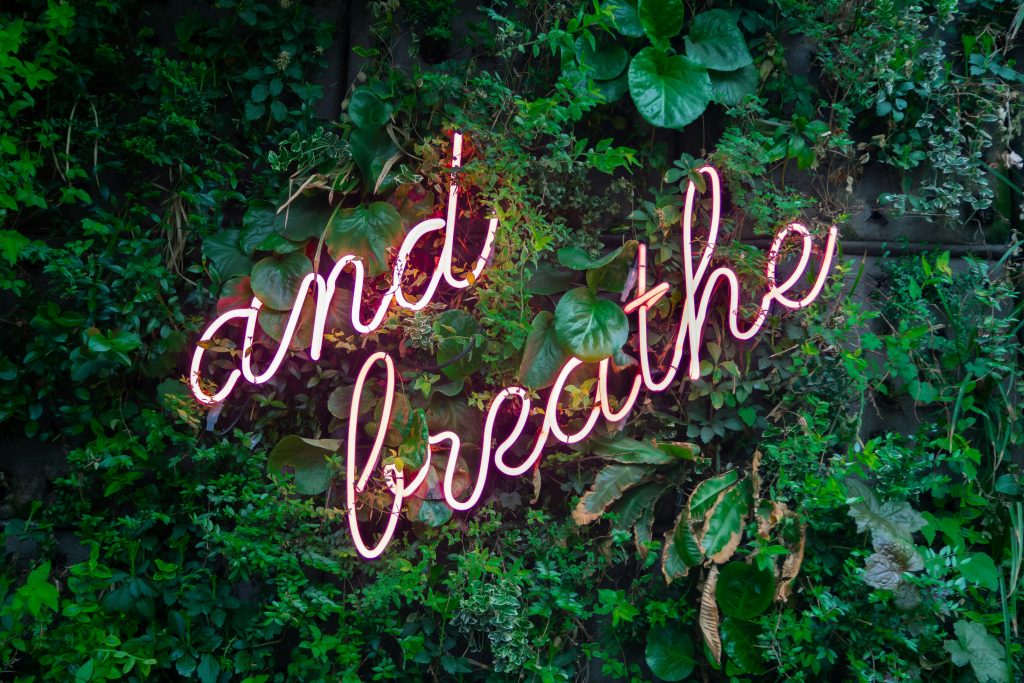 reminder to breathe when stressed greenery with the words and breathe in lights
